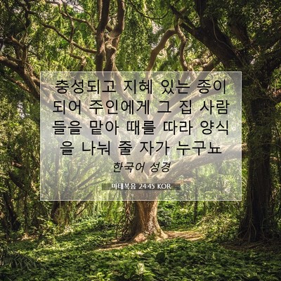 Picture 07 - 마태복음 24:45 KOR - 충성되고 지혜 있는 종이 되어 - Bible Verse Picture