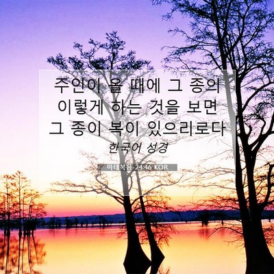 Picture 07 - 마태복음 24:46 KOR - 주인이 올 때에 그 종의 이렇게 하는 - Bible Verse Picture