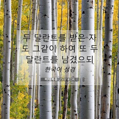 Picture 07 - 마태복음 25:17 KOR - 두 달란트를 받은 자도 그같이 하여 - Bible Verse Picture