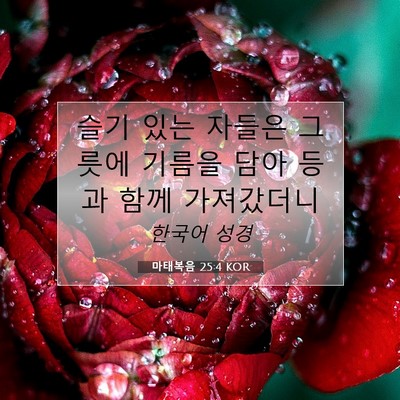 Picture 07 - 마태복음 25:4 KOR - 슬기 있는 자들은 그릇에 기름을 - Bible Verse Picture