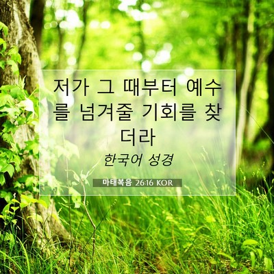 Picture 07 - 마태복음 26:16 KOR - 저가 그 때부터 예수를 넘겨줄 - Bible Verse Picture