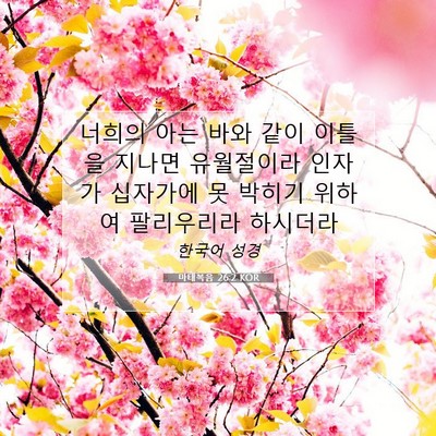 Picture 07 - 마태복음 26:2 KOR - 너희의 아는 바와 같이 이틀을 - Bible Verse Picture
