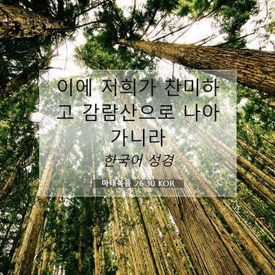 Picture 07 - 마태복음 26:30 KOR - 이에 저희가 찬미하고 감람산으로 - Bible Verse Picture