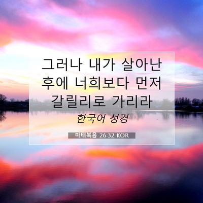 Picture 07 - 마태복음 26:32 KOR - 그러나 내가 살아난 후에 너희보다 - Bible Verse Picture