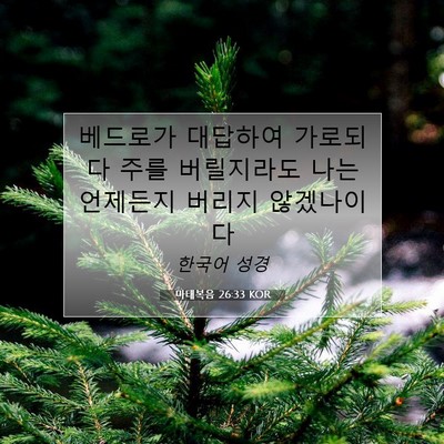 Picture 07 - 마태복음 26:33 KOR - 베드로가 대답하여 가로되 다 주를 - Bible Verse Picture