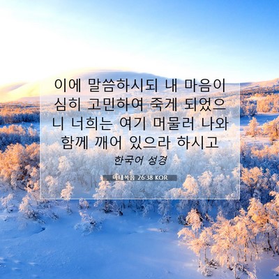 Picture 07 - 마태복음 26:38 KOR - 이에 말씀하시되 내 마음이 심히 - Bible Verse Picture