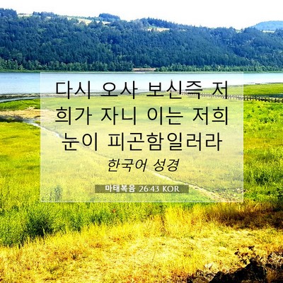 Picture 07 - 마태복음 26:43 KOR - 다시 오사 보신즉 저희가 자니 이는 - Bible Verse Picture