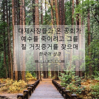 Picture 07 - 마태복음 26:59 KOR - 대제사장들과 온 공회가 예수를 - Bible Verse Picture