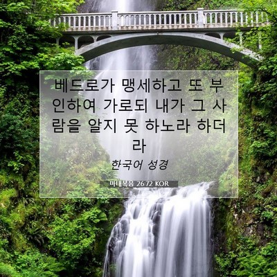 Picture 07 - 마태복음 26:72 KOR - 베드로가 맹세하고 또 부인하여 - Bible Verse Picture