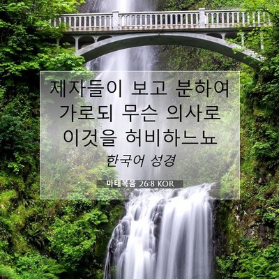 Picture 07 - 마태복음 26:8 KOR - 제자들이 보고 분하여 가로되 무슨 - Bible Verse Picture
