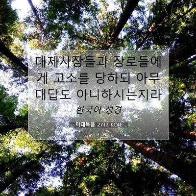 Picture 07 - 마태복음 27:12 KOR - 대제사장들과 장로들에게 고소를 - Bible Verse Picture