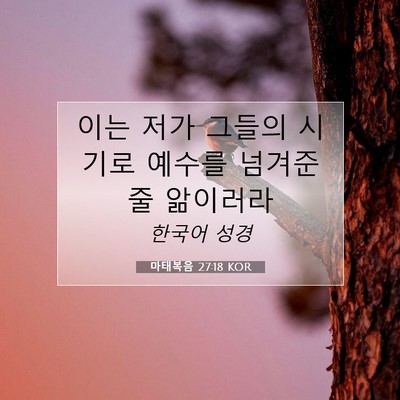 Picture 07 - 마태복음 27:18 KOR - 이는 저가 그들의 시기로 예수를 - Bible Verse Picture
