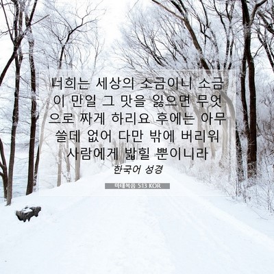 Picture 07 - 마태복음 5:13 KOR - 너희는 세상의 소금이니 소금이 만일 - Bible Verse Picture