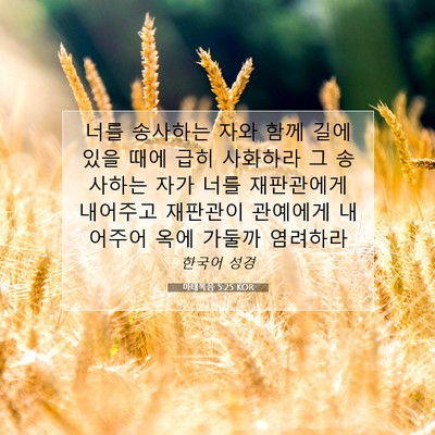Picture 07 - 마태복음 5:25 KOR - 너를 송사하는 자와 함께 길에 있을 - Bible Verse Picture