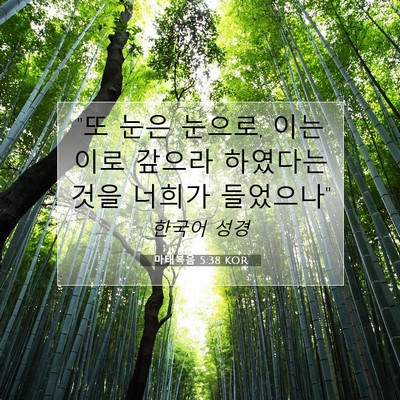 Picture 07 - 마태복음 5:38 KOR - 