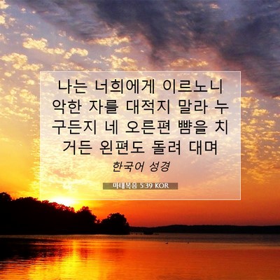 Picture 07 - 마태복음 5:39 KOR - 나는 너희에게 이르노니 악한 자를 - Bible Verse Picture