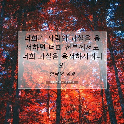 Picture 07 - 마태복음 6:14 KOR - 너희가 사람의 과실을 용서하면 너희 - Bible Verse Picture