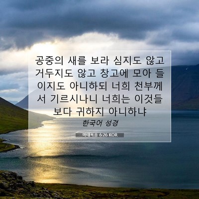 Picture 07 - 마태복음 6:26 KOR - 공중의 새를 보라 심지도 않고 - Bible Verse Picture