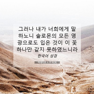 Picture 07 - 마태복음 6:29 KOR - 그러나 내가 너희에게 말하노니 - Bible Verse Picture
