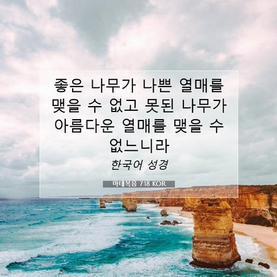 Picture 07 - 마태복음 7:18 KOR - 좋은 나무가 나쁜 열매를 맺을 수 - Bible Verse Picture