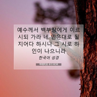 Picture 07 - 마태복음 8:13 KOR - 예수께서 백부장에게 이르시되 가라 - Bible Verse Picture