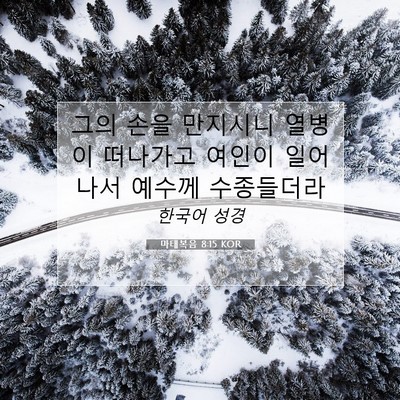 Picture 07 - 마태복음 8:15 KOR - 그의 손을 만지시니 열병이 떠나가고 - Bible Verse Picture