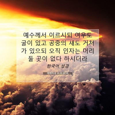 Picture 07 - 마태복음 8:20 KOR - 예수께서 이르시되 여우도 굴이 있고 - Bible Verse Picture