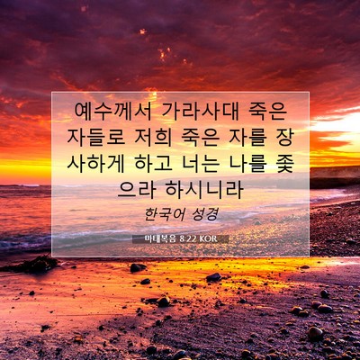 Picture 07 - 마태복음 8:22 KOR - 예수께서 가라사대 죽은 자들로 저희 - Bible Verse Picture
