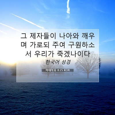 Picture 07 - 마태복음 8:25 KOR - 그 제자들이 나아와 깨우며 가로되 - Bible Verse Picture