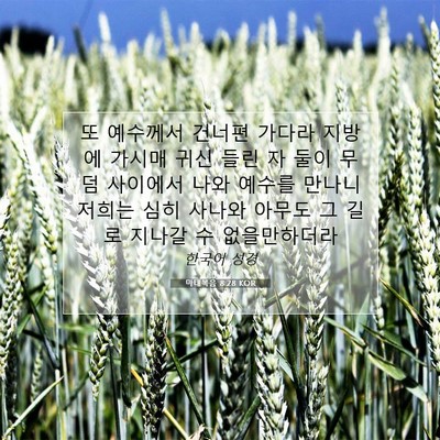 Picture 07 - 마태복음 8:28 KOR - 또 예수께서 건너편 가다라 지방에 - Bible Verse Picture