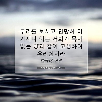 Picture 07 - 마태복음 9:36 KOR - 무리를 보시고 민망히 여기시니 이는 - Bible Verse Picture