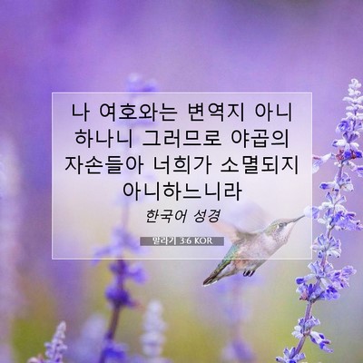 Picture 07 - 말라기 3:6 KOR - 나 여호와는 변역지 아니하나니 - Bible Verse Picture