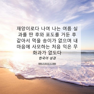 Picture 07 - 미가 7:1 KOR - 재앙이로다 나여 나는 여름 실과를 - Bible Verse Picture