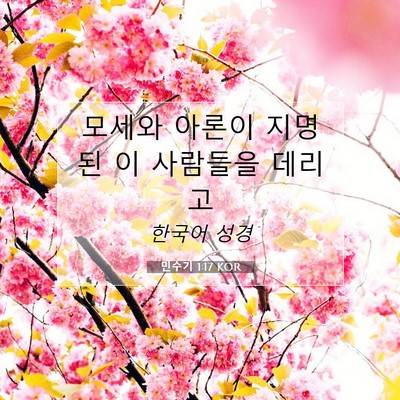 Picture 07 - 민수기 1:17 KOR - 모세와 아론이 지명된 이 사람들을 - Bible Verse Picture