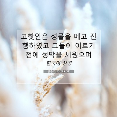 Picture 07 - 민수기 10:21 KOR - 고핫인은 성물을 메고 진행하였고 - Bible Verse Picture