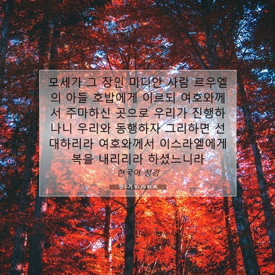 Picture 07 - 민수기 10:29 KOR - 모세가 그 장인 미디안 사람 - Bible Verse Picture