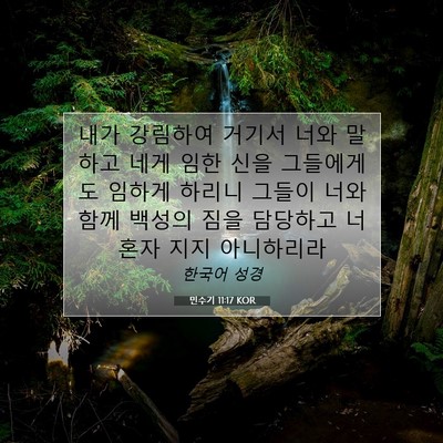 Picture 07 - 민수기 11:17 KOR - 내가 강림하여 거기서 너와 말하고 - Bible Verse Picture