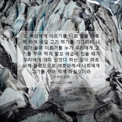 Picture 07 - 민수기 11:18 KOR - 또 백성에게 이르기를 너희 몸을 - Bible Verse Picture