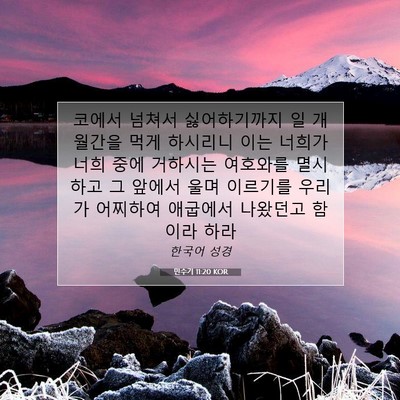 Picture 07 - 민수기 11:20 KOR - 코에서 넘쳐서 싫어하기까지 일 - Bible Verse Picture
