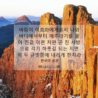 Picture 07 - 민수기 11:31 KOR - 바람이 여호와에게로서 나와 - Bible Verse Picture