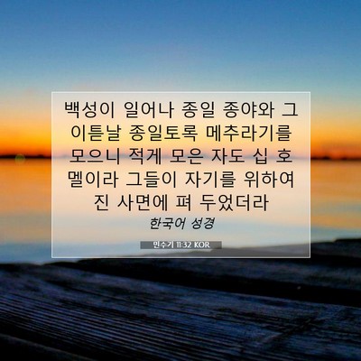Picture 07 - 민수기 11:32 KOR - 백성이 일어나 종일 종야와 그 - Bible Verse Picture