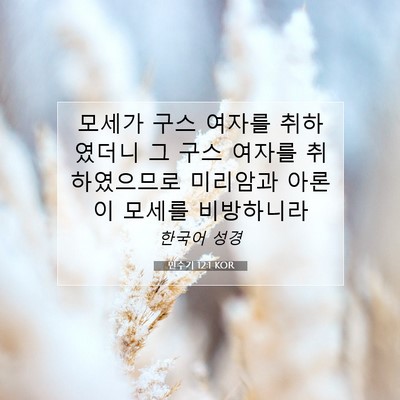 Picture 07 - 민수기 12:1 KOR - 모세가 구스 여자를 취하였더니 그 - Bible Verse Picture