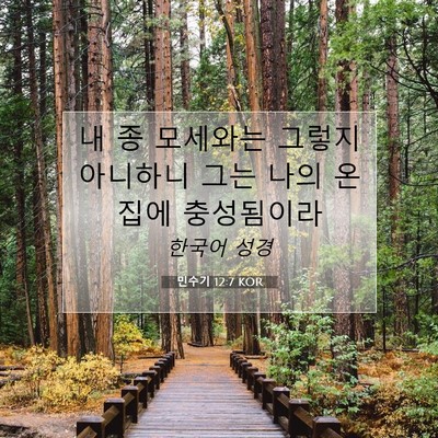 Picture 07 - 민수기 12:7 KOR - 내 종 모세와는 그렇지 아니하니 - Bible Verse Picture