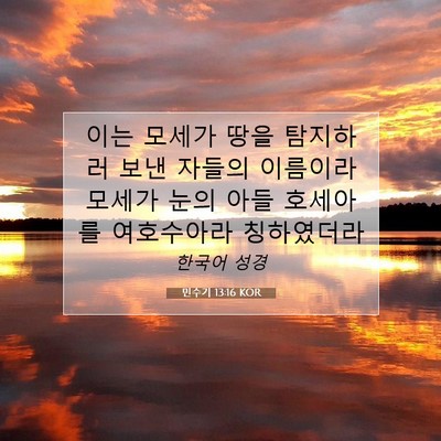 Picture 07 - 민수기 13:16 KOR - 이는 모세가 땅을 탐지하러 보낸 - Bible Verse Picture