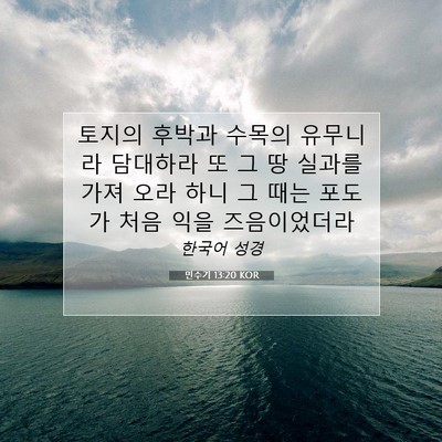 Picture 07 - 민수기 13:20 KOR - 토지의 후박과 수목의 유무니라 - Bible Verse Picture
