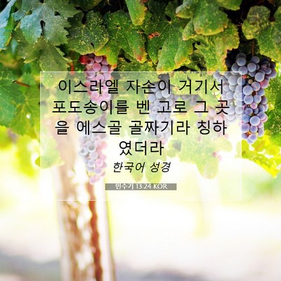 Picture 07 - 민수기 13:24 KOR - 이스라엘 자손이 거기서 포도송이를 - Bible Verse Picture