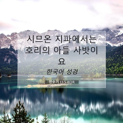 Picture 07 - 민수기 13:5 KOR - 시므온 지파에서는 호리의 아들 - Bible Verse Picture