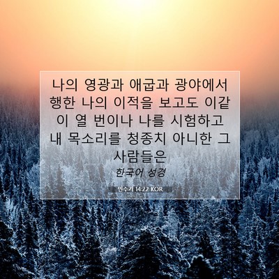 Picture 07 - 민수기 14:22 KOR - 나의 영광과 애굽과 광야에서 행한 - Bible Verse Picture