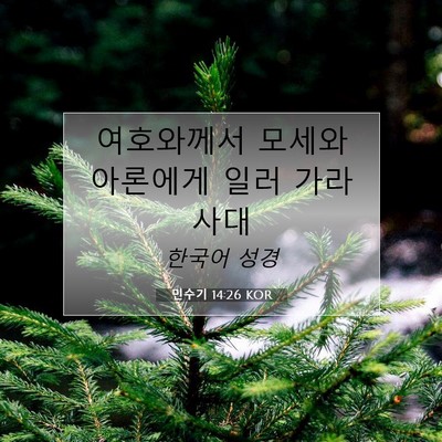 Picture 07 - 민수기 14:26 KOR - 여호와께서 모세와 아론에게 일러 - Bible Verse Picture