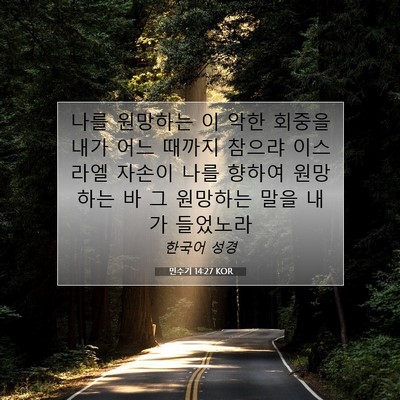 Picture 07 - 민수기 14:27 KOR - 나를 원망하는 이 악한 회중을 내가 - Bible Verse Picture